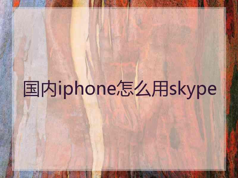 国内iphone怎么用skype